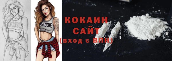 метадон Алексин