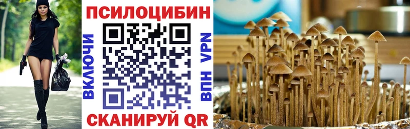 купить наркотики сайты  Чухлома  Псилоцибиновые грибы прущие грибы 